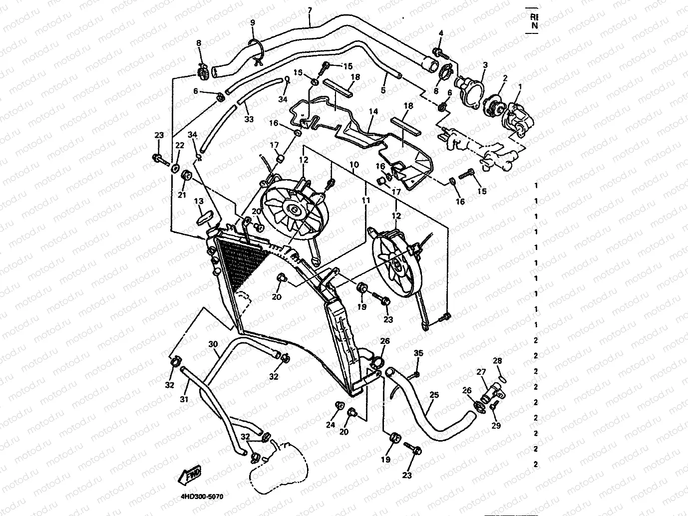 RADIATOR & HOSE