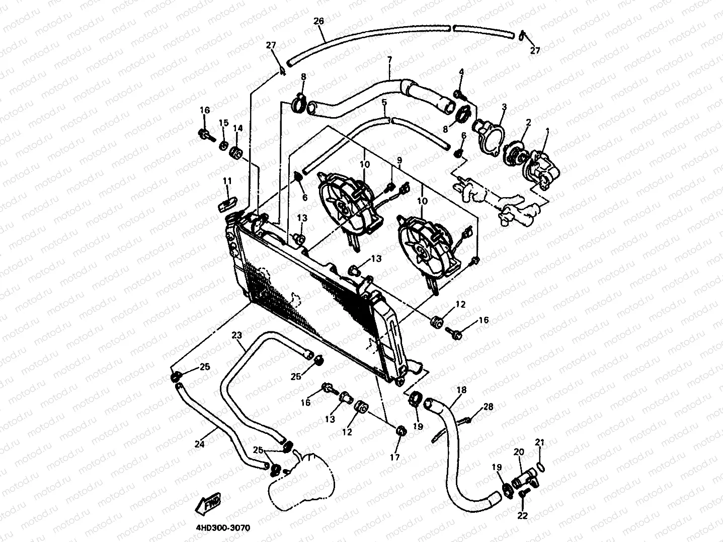 RADIATOR & HOSE