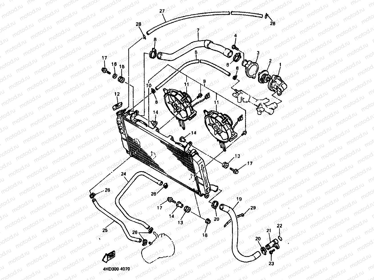 RADIATOR & HOSE