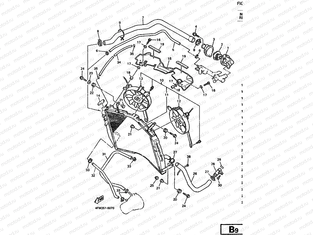 RADIATOR & HOSE