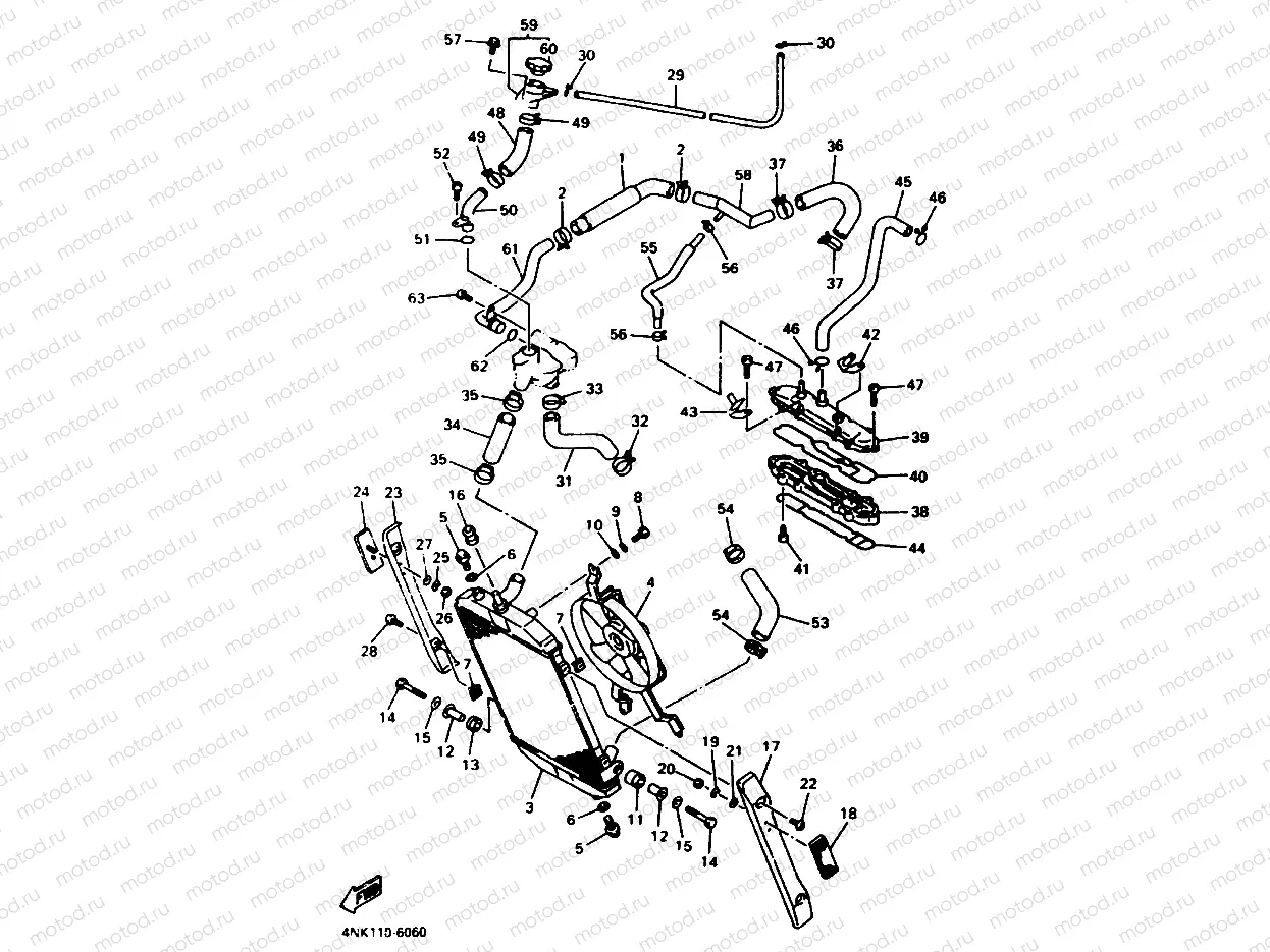 RADIATOR & HOSE