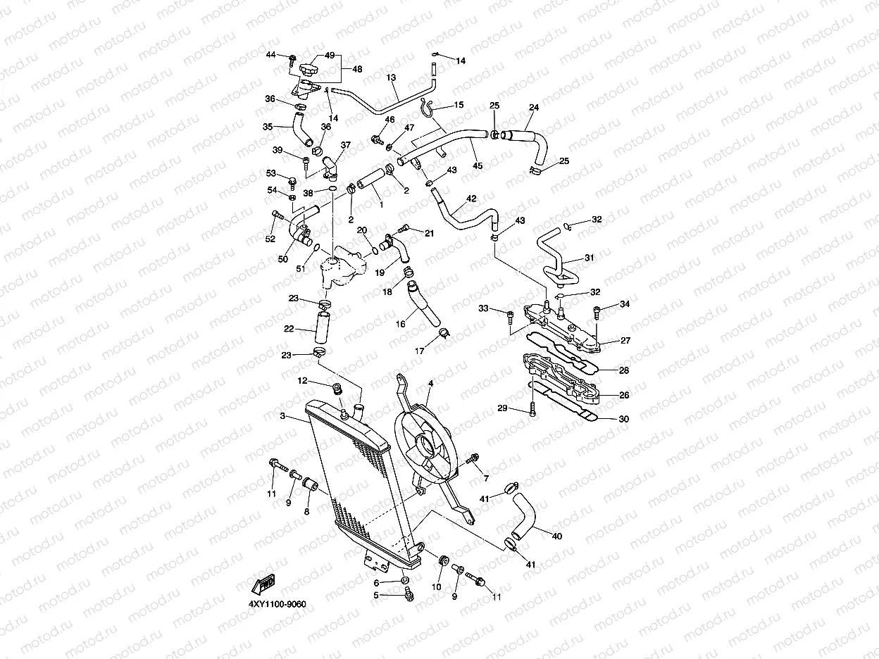 RADIATOR & HOSE