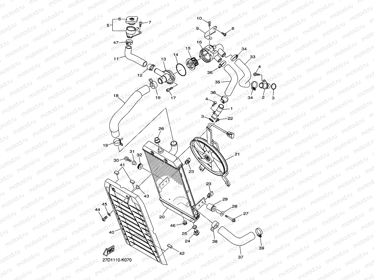 RADIATOR & HOSE