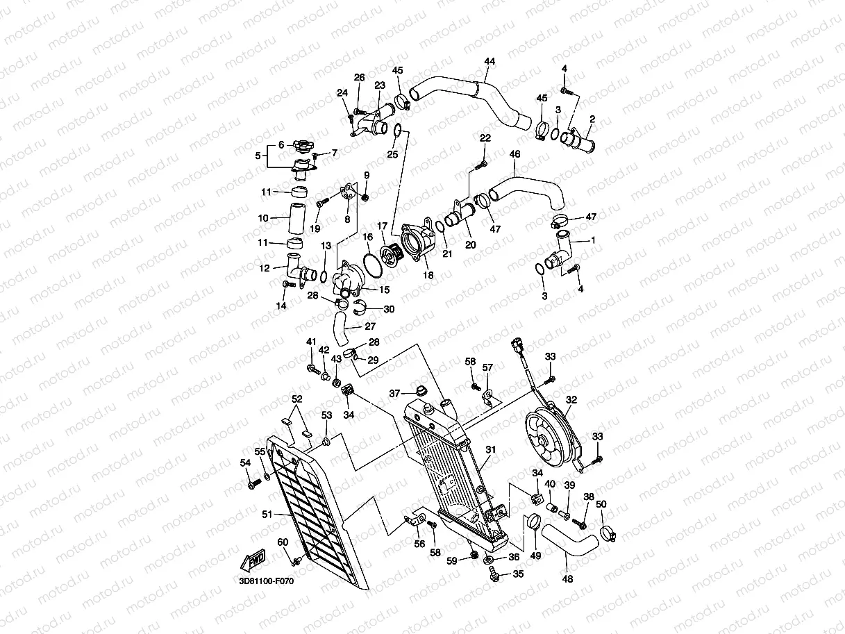 RADIATOR & HOSE