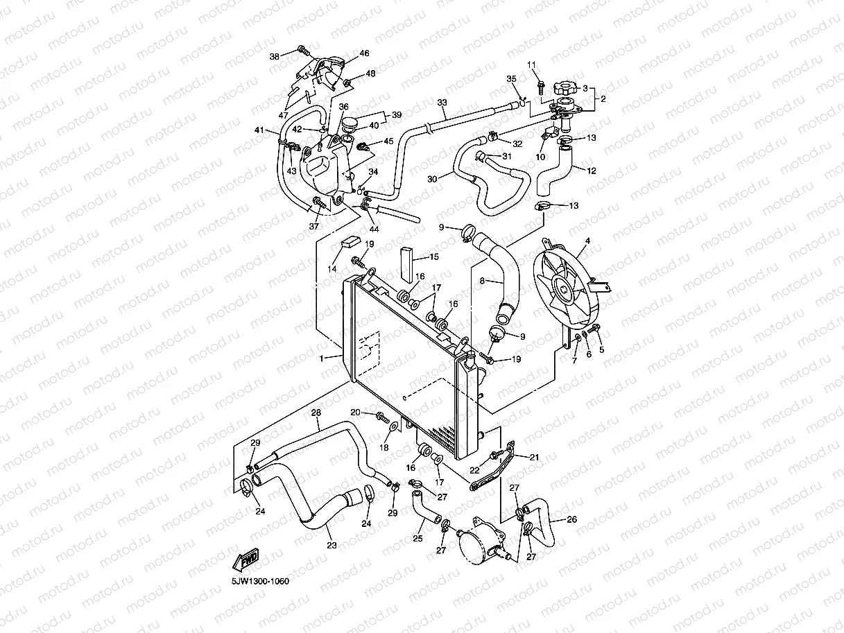 RADIATOR & HOSE
