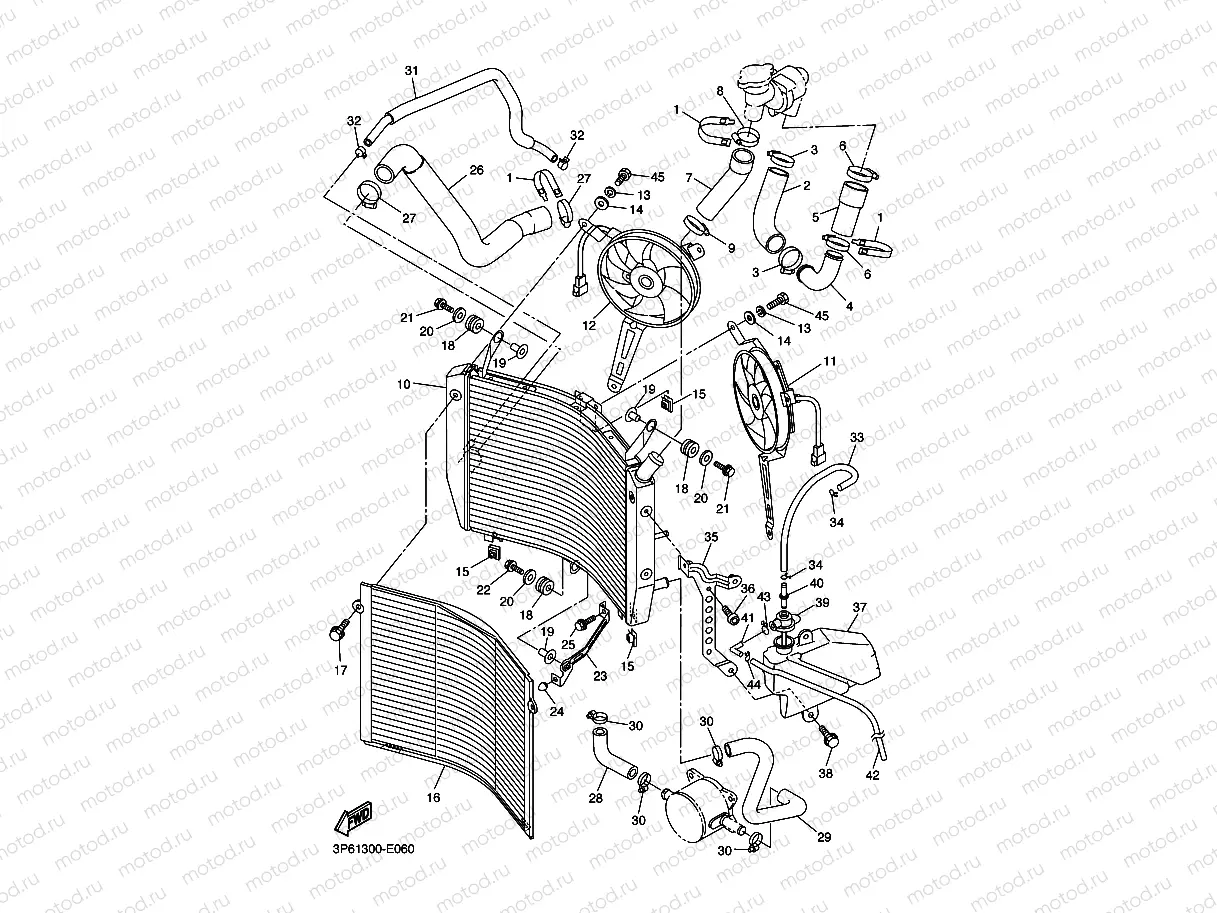 RADIATOR & HOSE