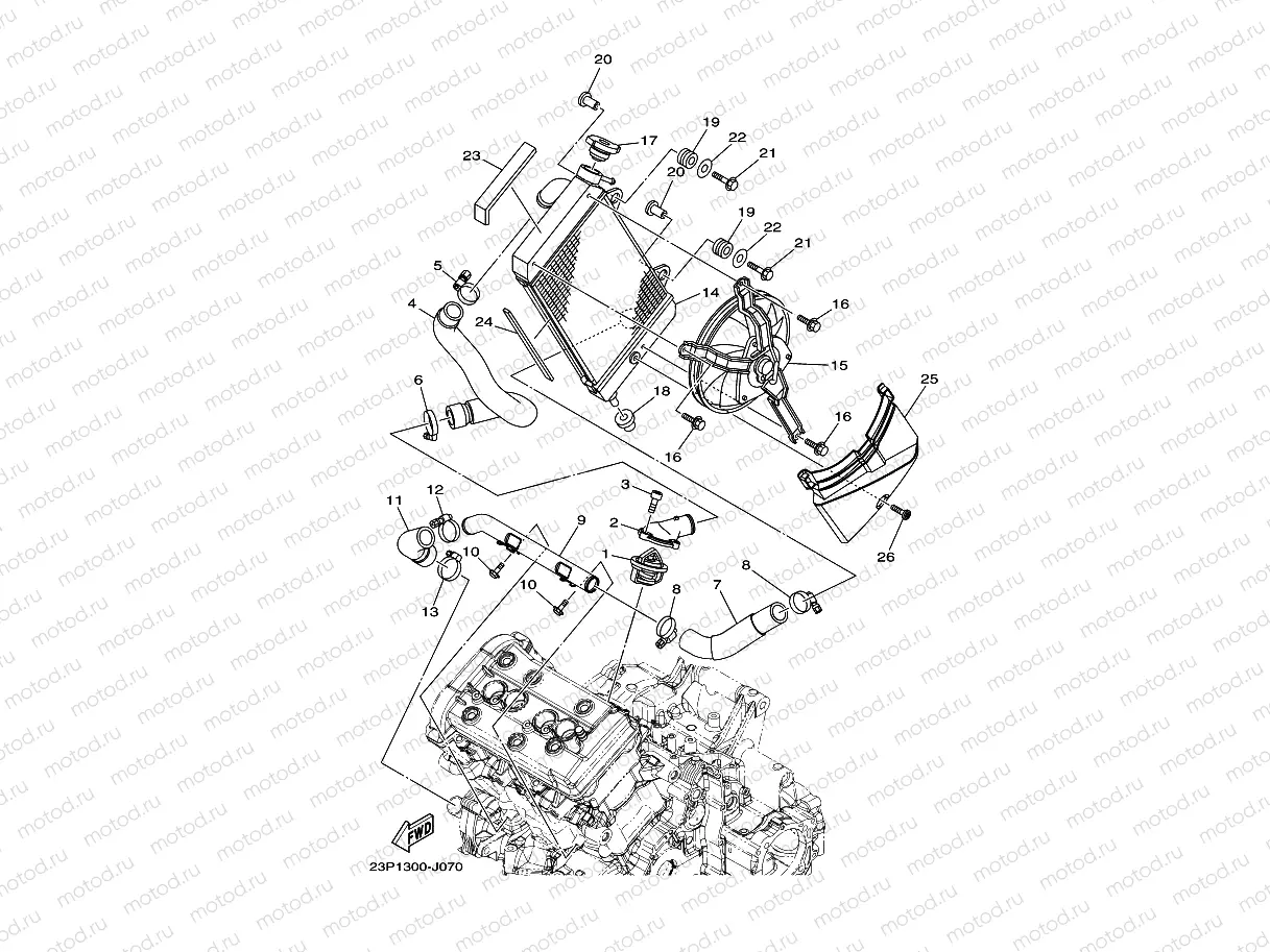 RADIATOR & HOSE