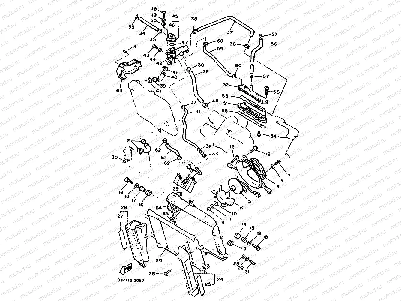RADIATOR & HOSE