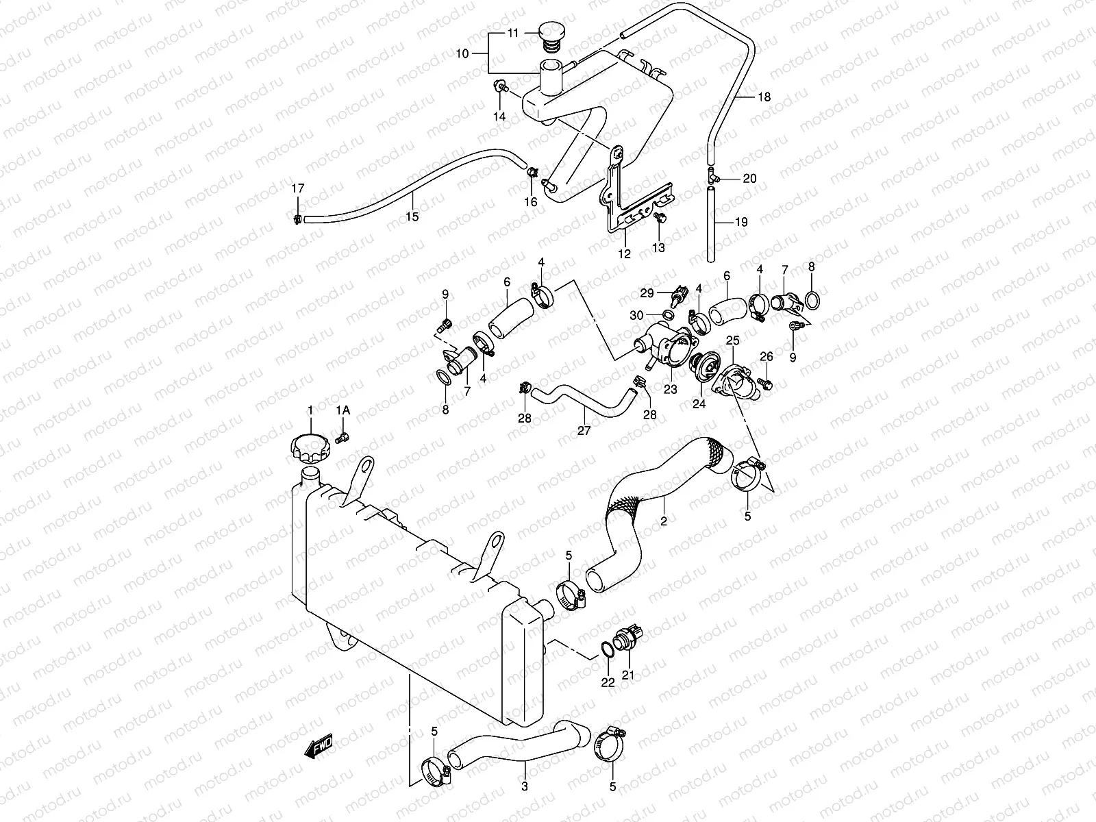 RADIATOR HOSE