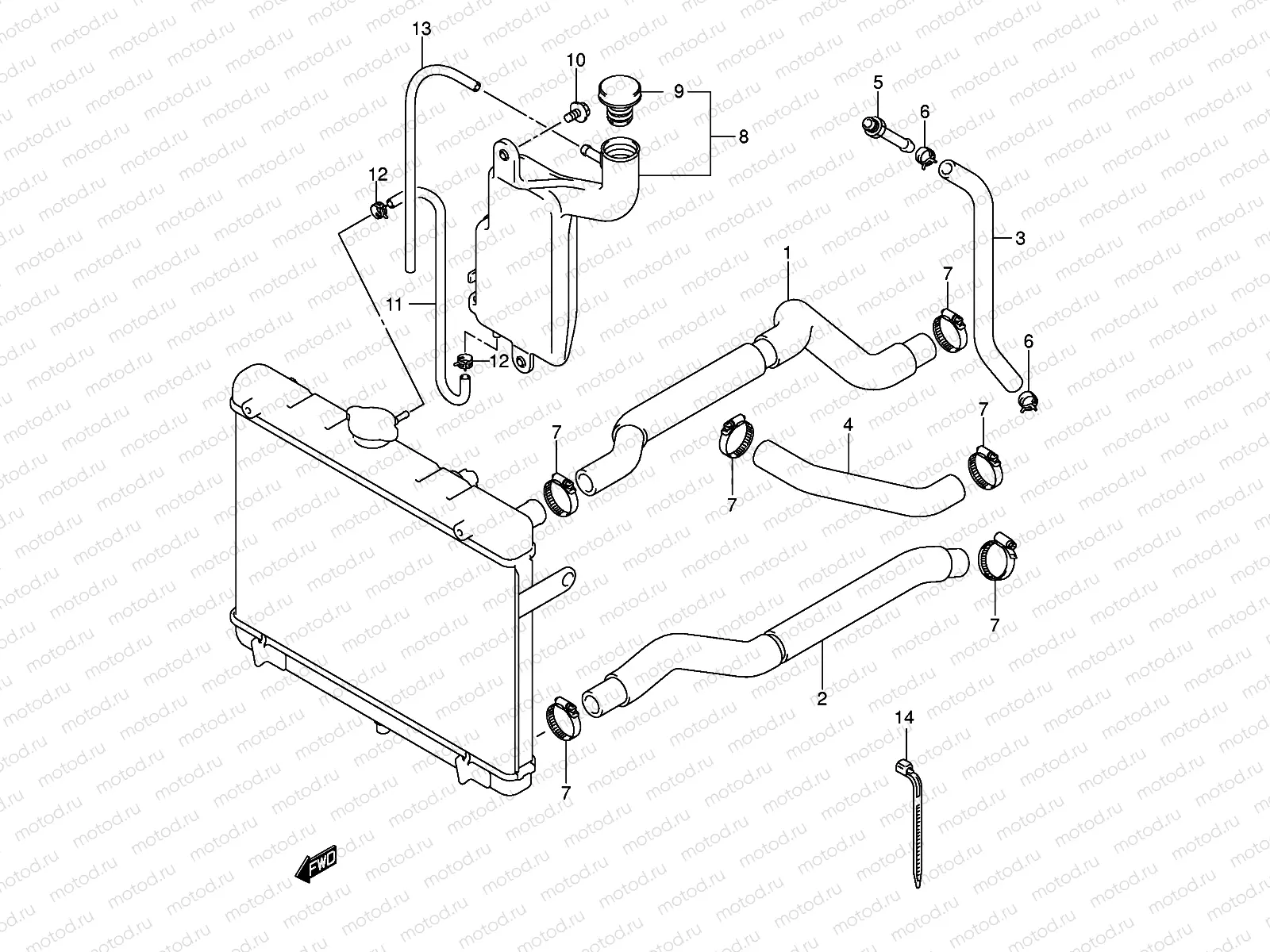 RADIATOR HOSE