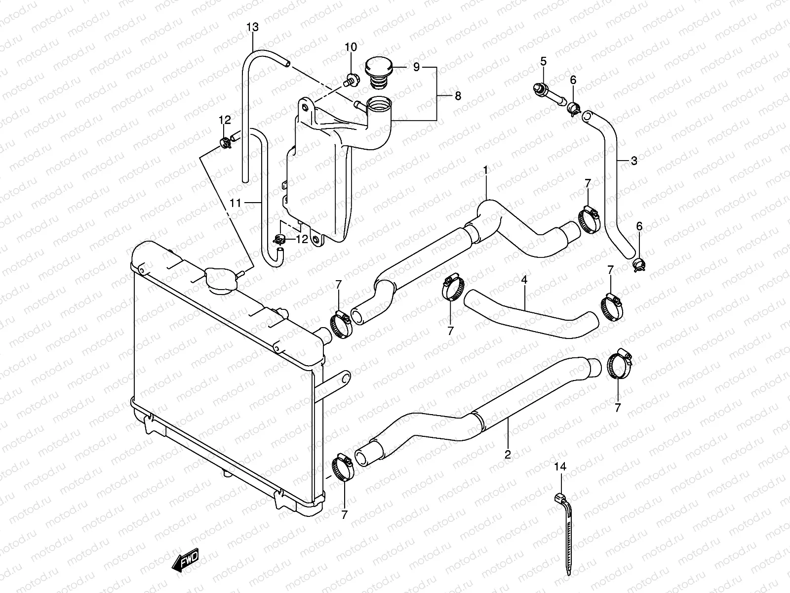 RADIATOR HOSE