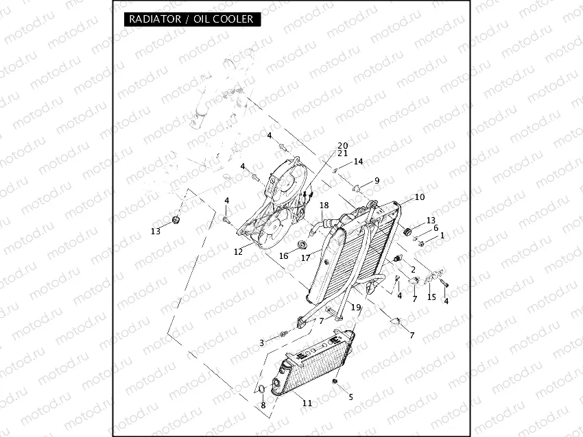 RADIATOR / OIL COOLER