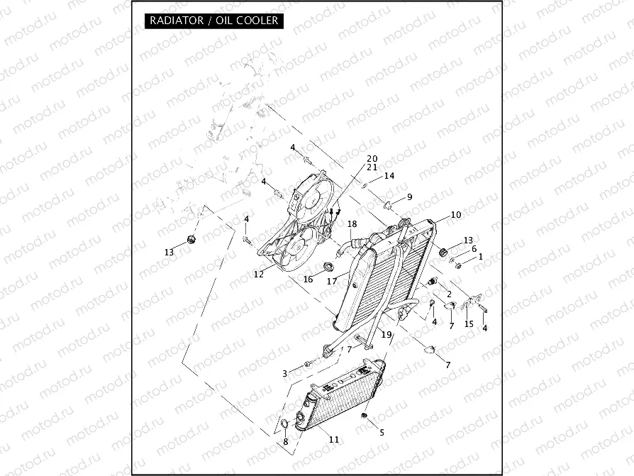 RADIATOR / OIL COOLER