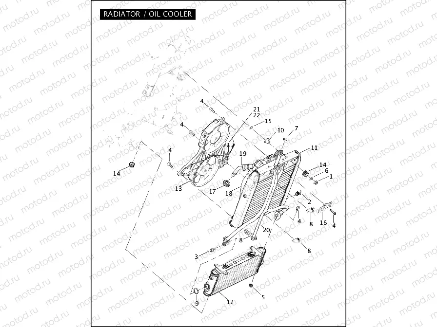 RADIATOR / OIL COOLER