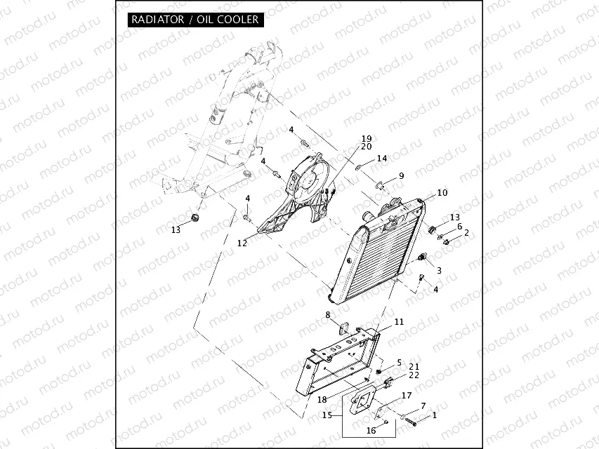 RADIATOR / OIL COOLER