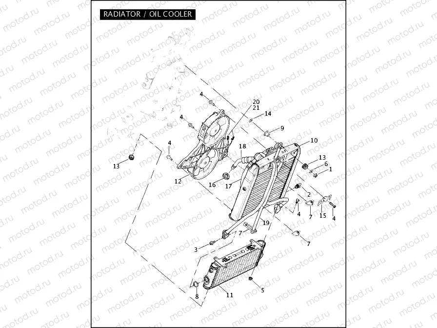 RADIATOR / OIL COOLER