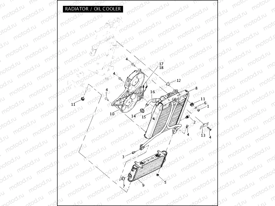 RADIATOR / OIL COOLER
