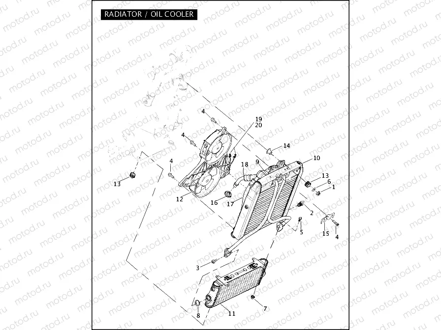 RADIATOR & OIL COOLER