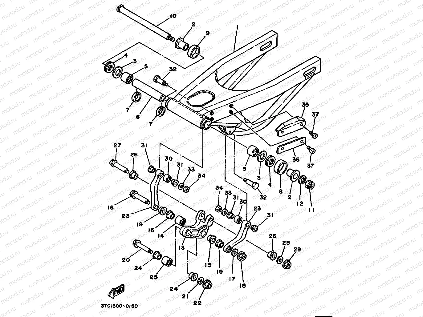REAR ARM