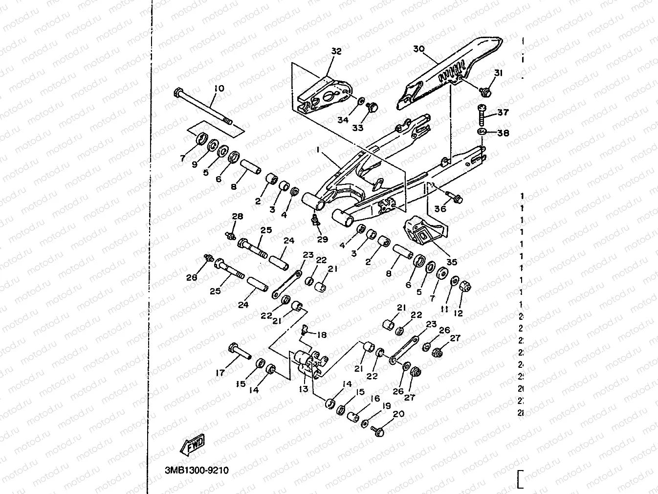 REAR ARM