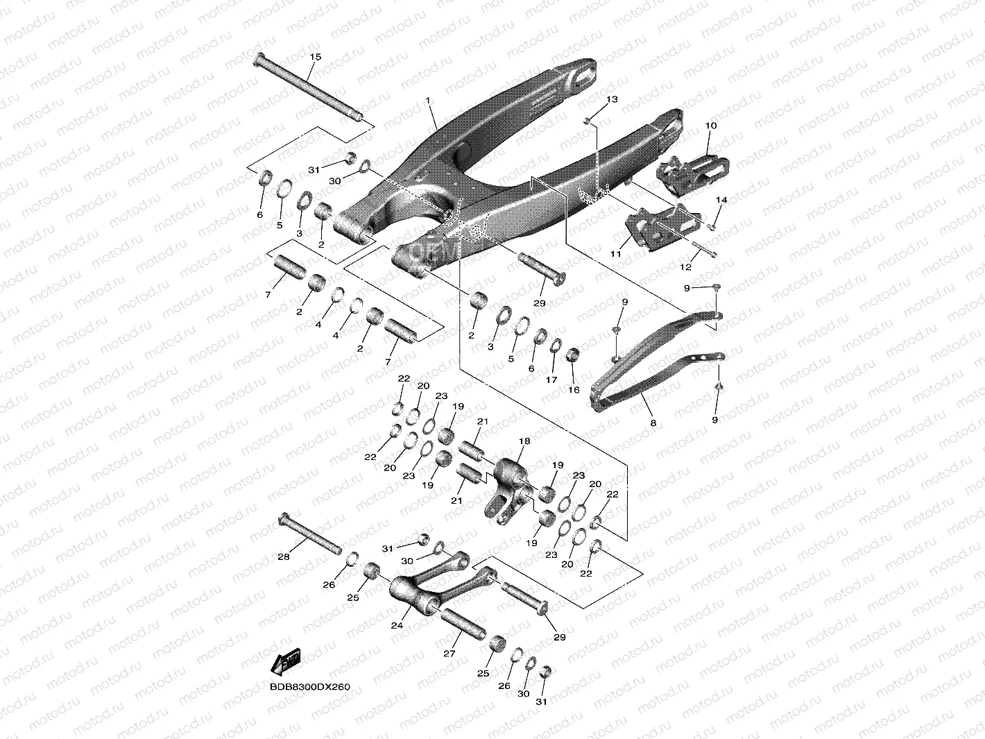 REAR ARM