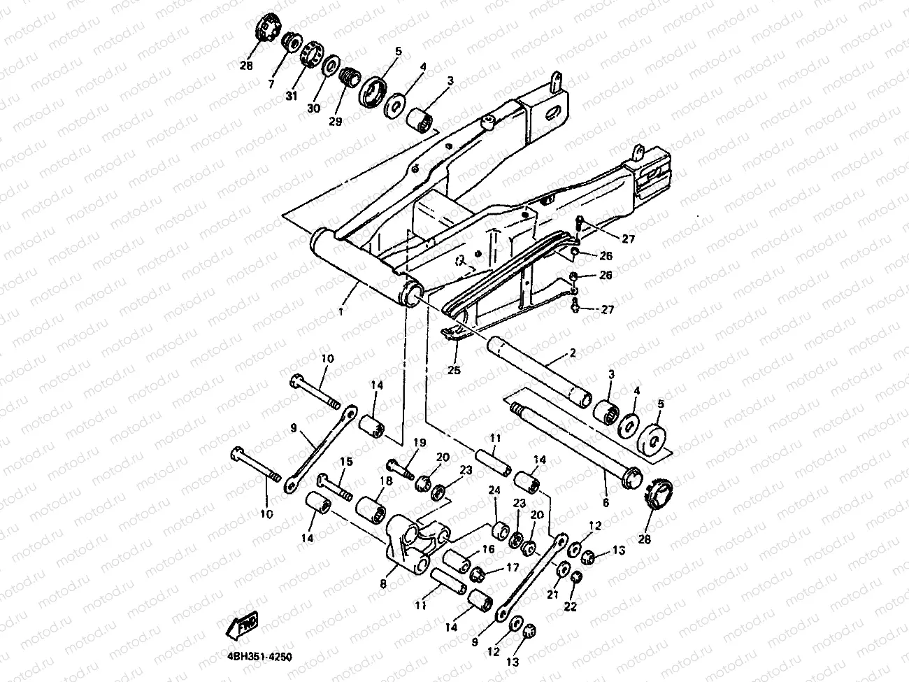 REAR ARM