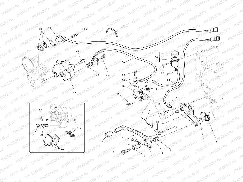 Rear brake