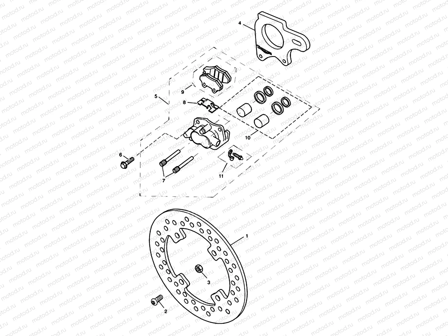 Rear Brake & Disc