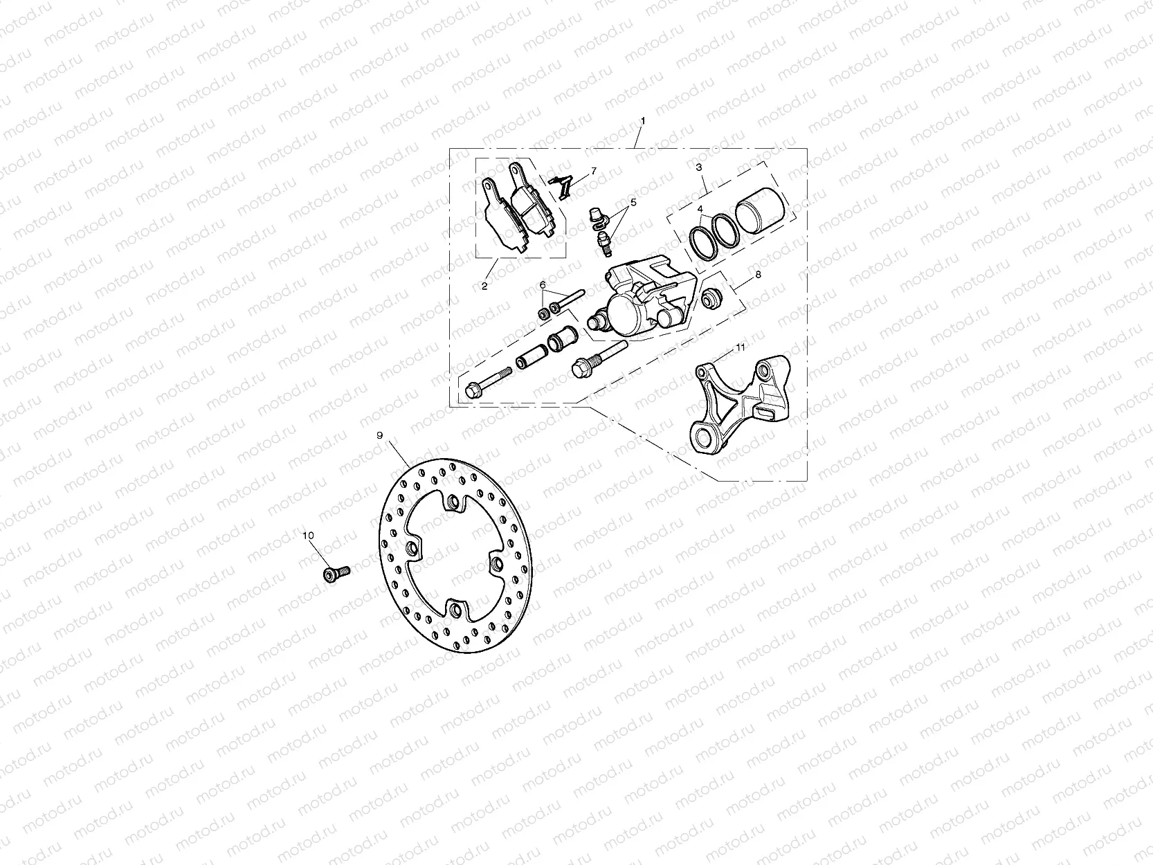 Rear Brake & Disc