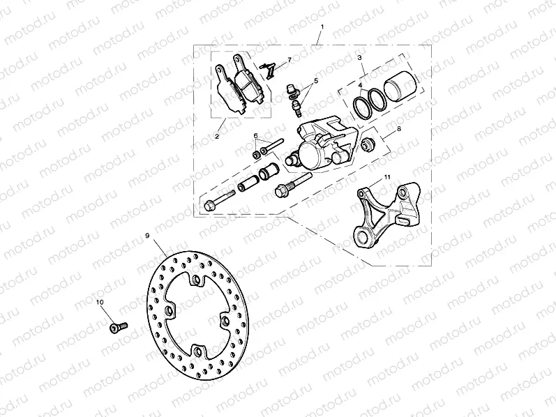 Rear Brake & Disc