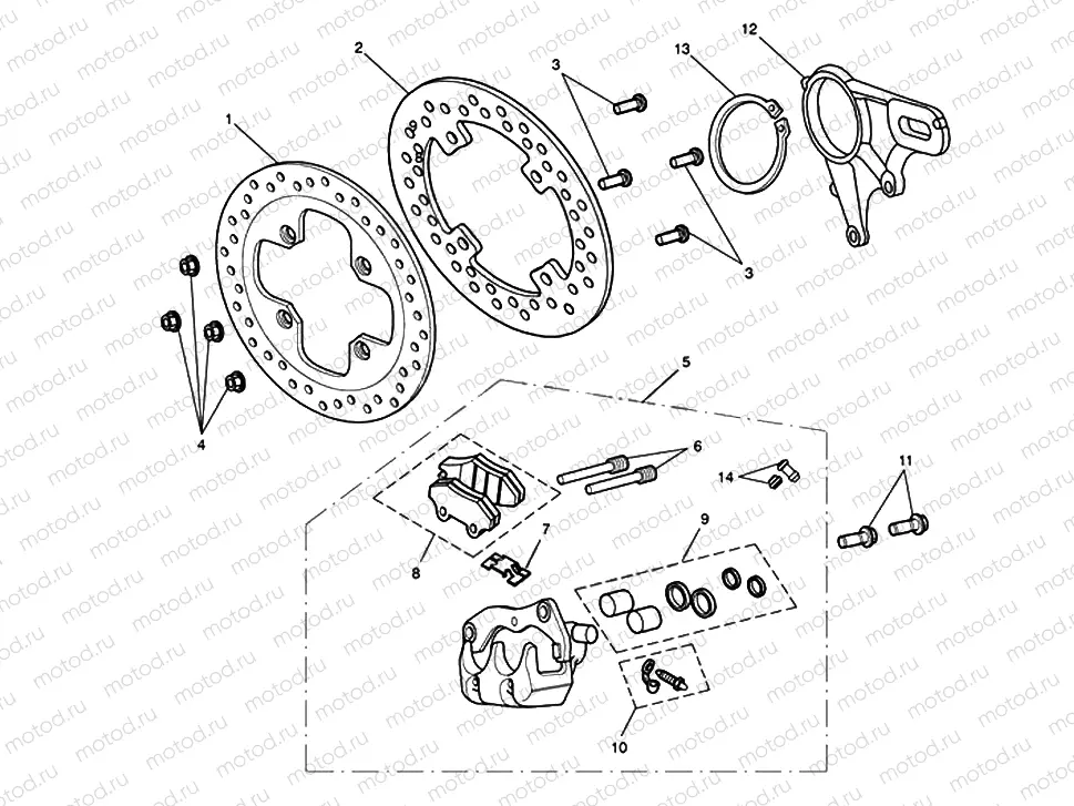 Rear Brake & Disc