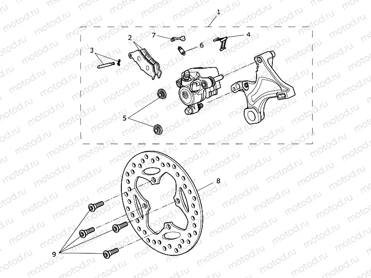 Rear Brake & Disc