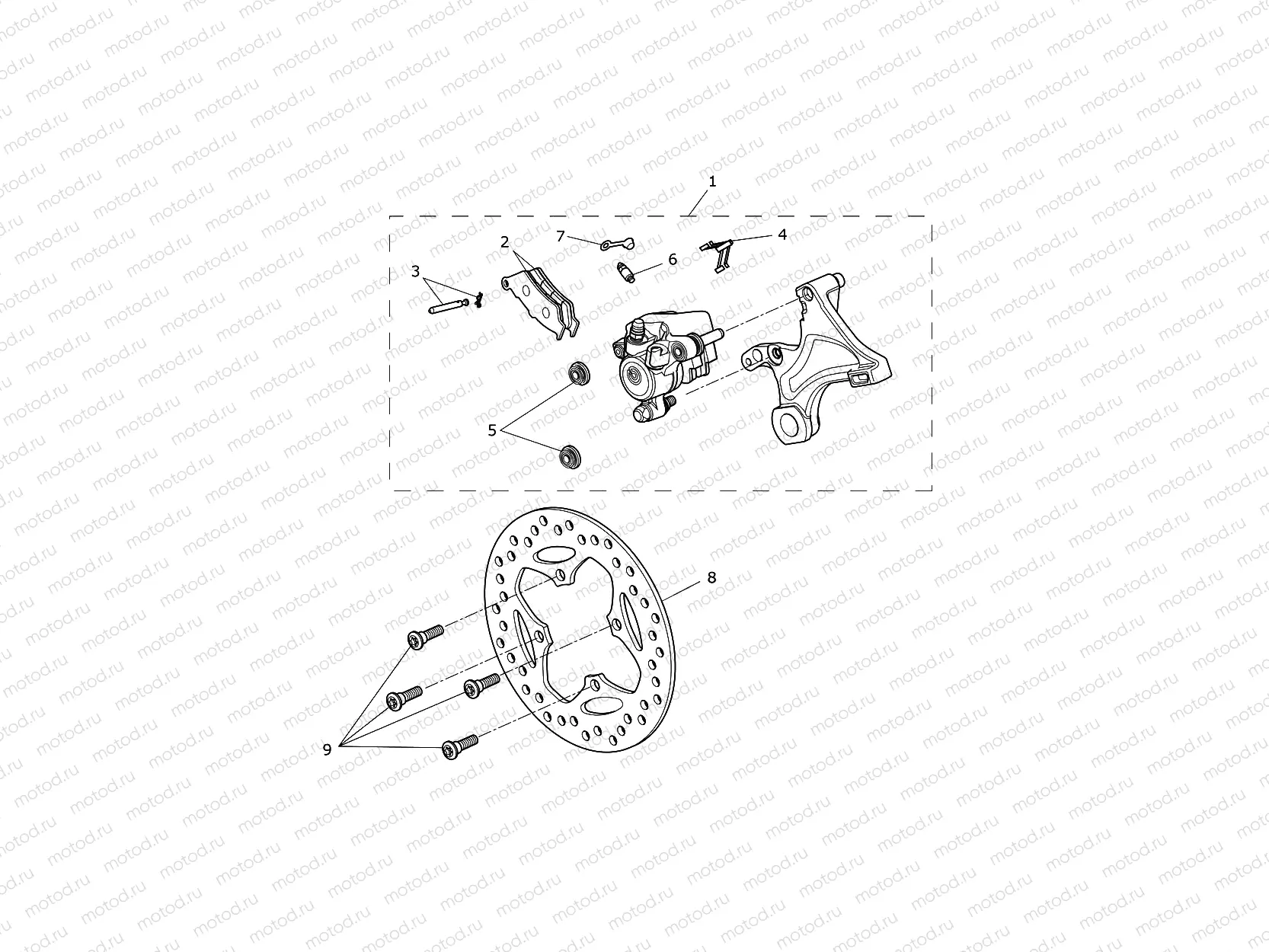 Rear Brake & Disc