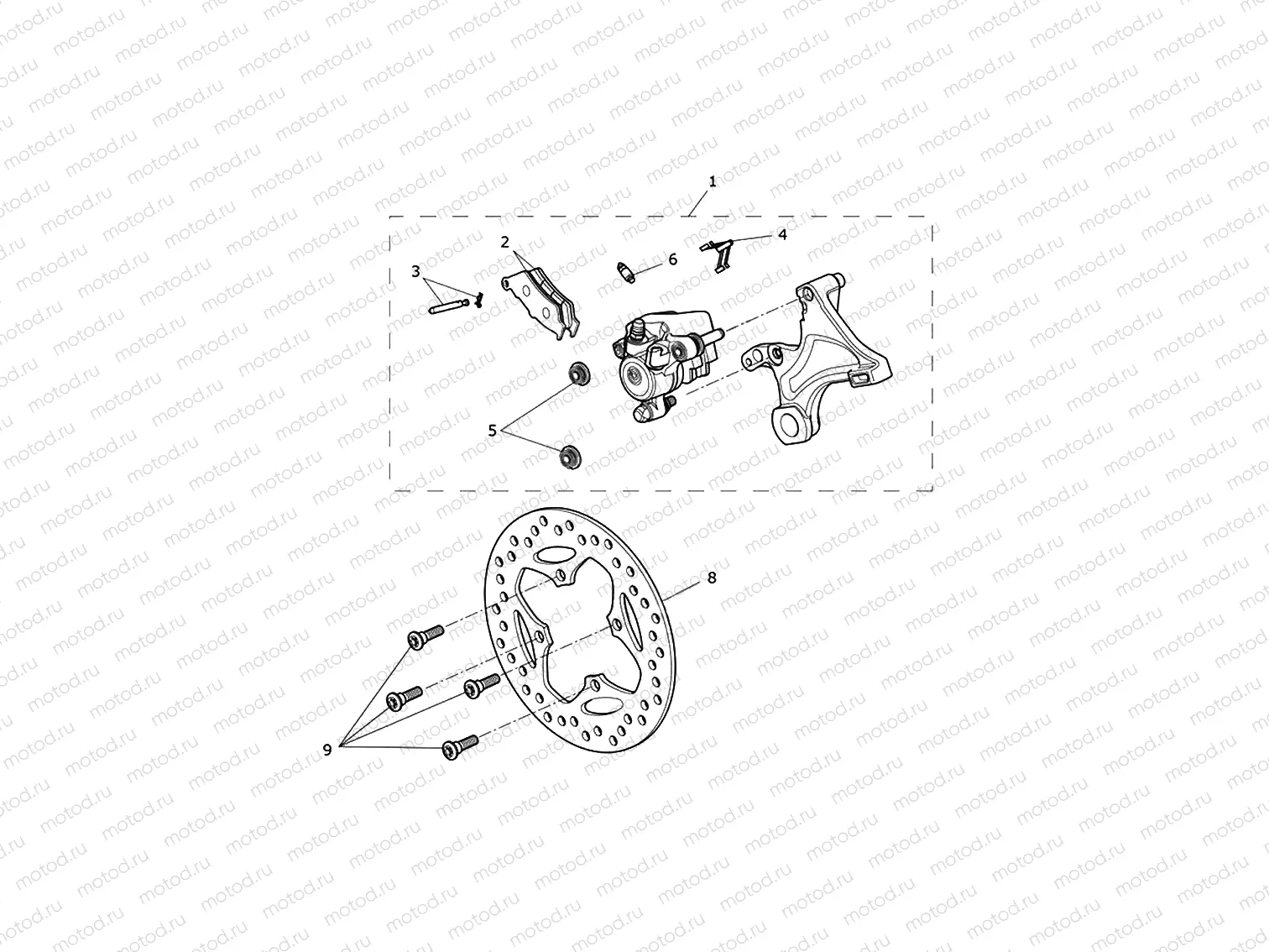 Rear Brake & Disc
