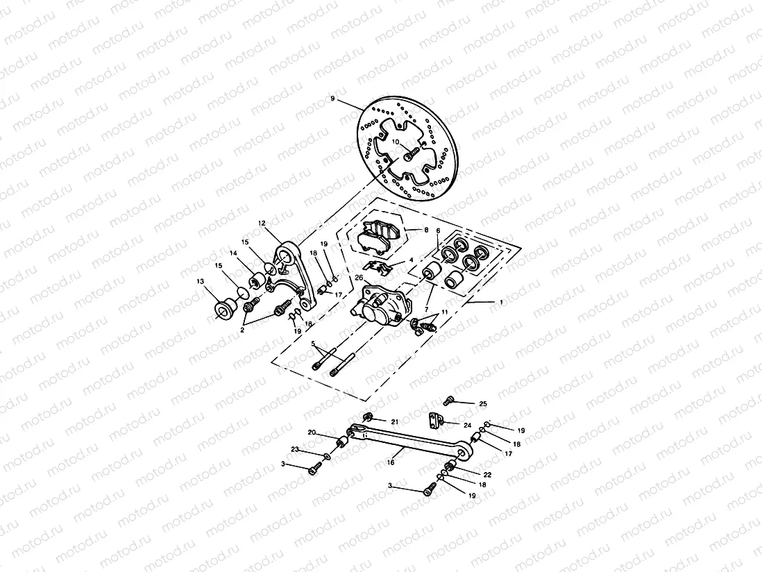 Rear Brake Disc and Caliper Sprint Sport