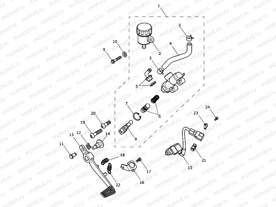 Rear Brake Master Cylinder, Reservoir & Pedal