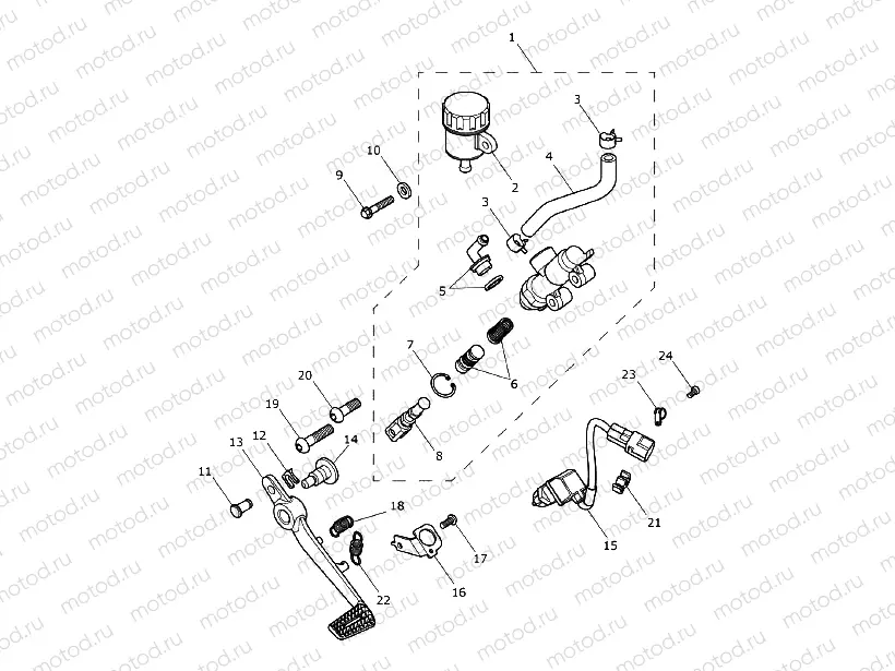 Rear Brake Master Cylinder, Reservoir & Pedal