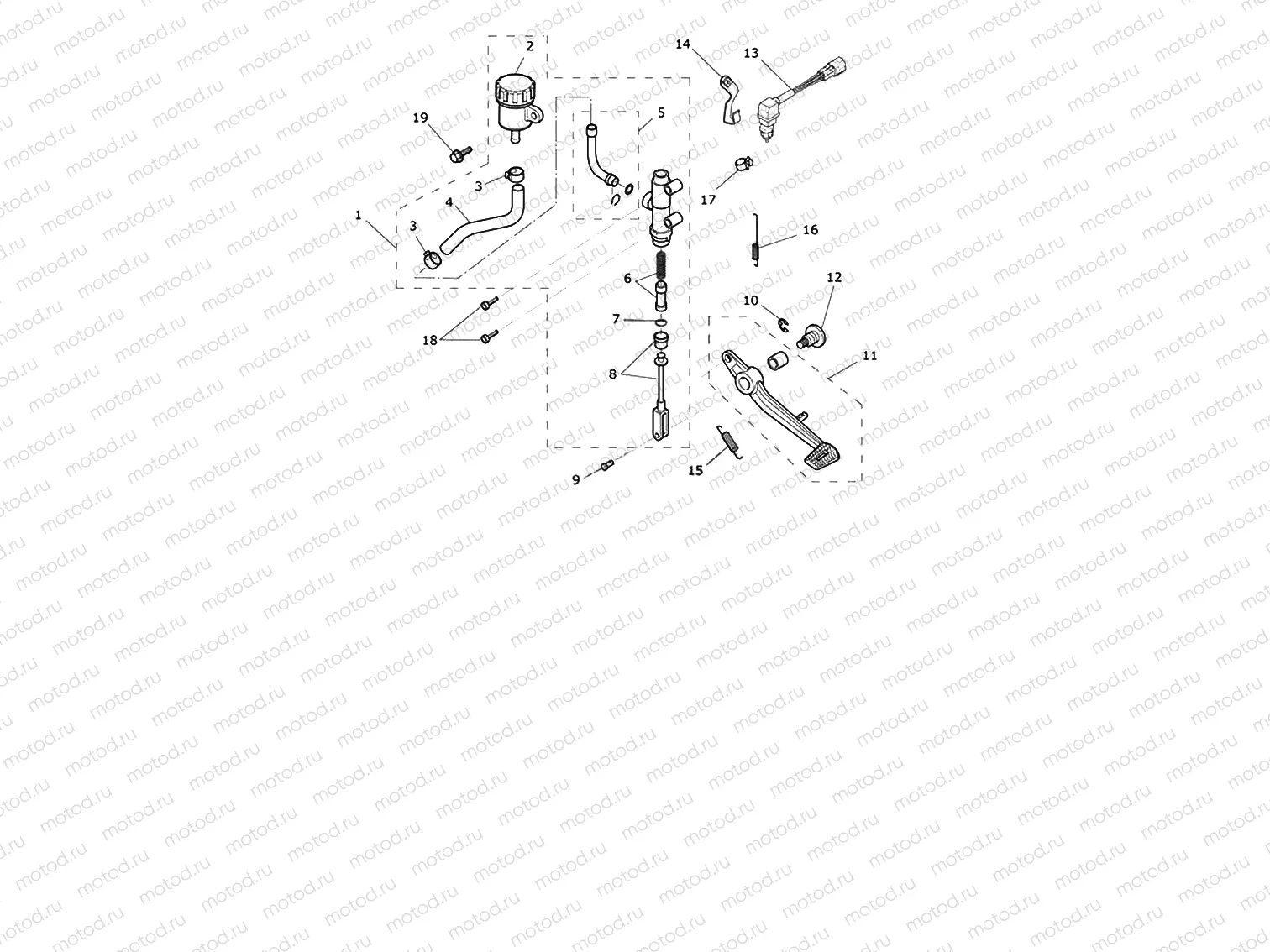 Rear Brake Master Cylinder, reservoir & Pedal