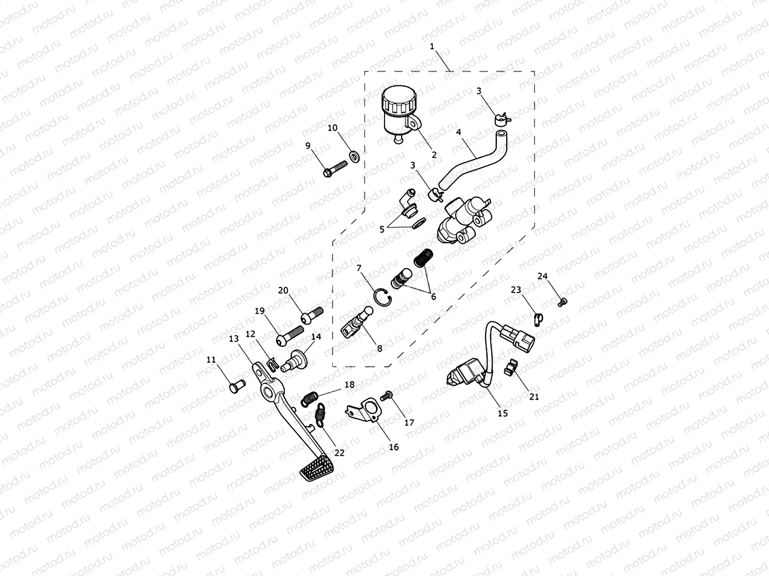 Rear Brake Master Cylinder, Reservoir & Pedal
