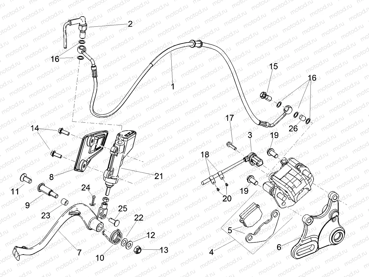 Rear brake system