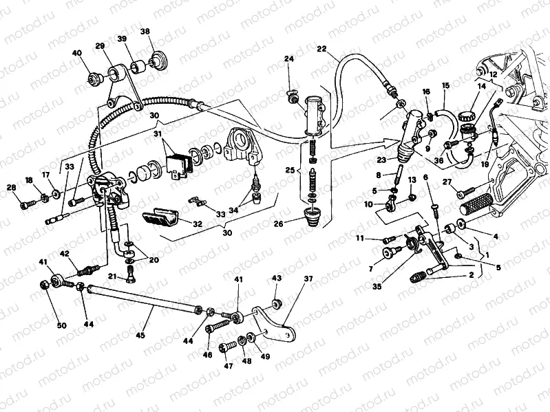 REAR BRAKE SYSTEM » BRAKING SYSTEM