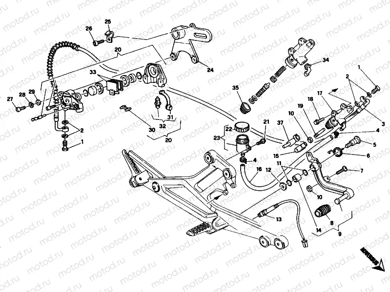 REAR BRAKE SYSTEM » BRAKING SYSTEM