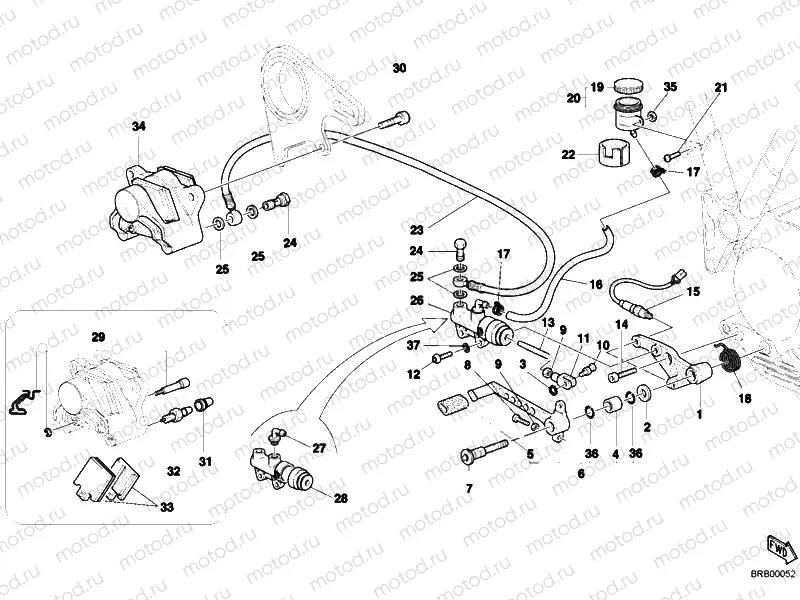 REAR BRAKE SYSTEM » BRAKING SYSTEM