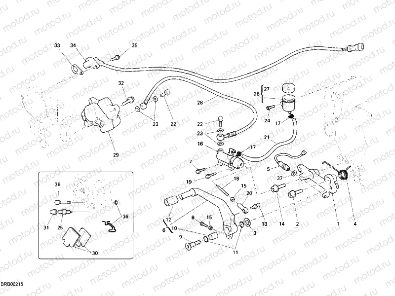 REAR BRAKE SYSTEM » BRAKING SYSTEM