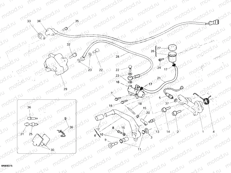 REAR BRAKE SYSTEM » BRAKING SYSTEM