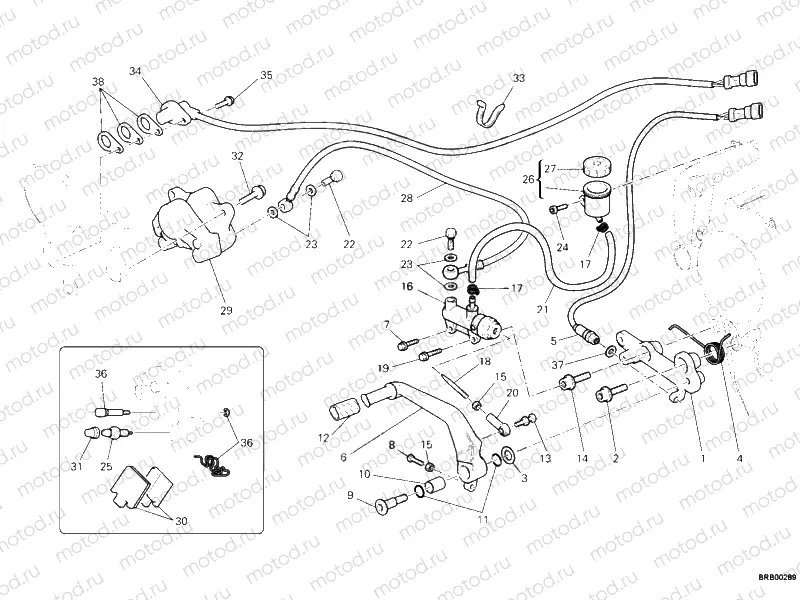 REAR BRAKE SYSTEM » BRAKING SYSTEM
