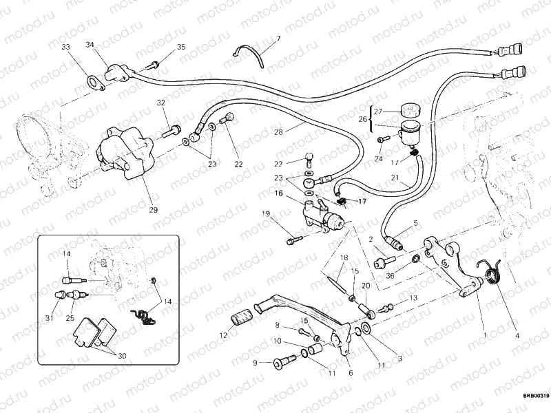 REAR BRAKE SYSTEM » BRAKING SYSTEM