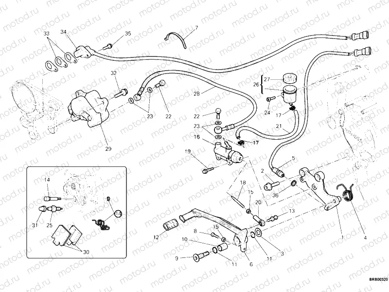 REAR BRAKE SYSTEM » BRAKING SYSTEM