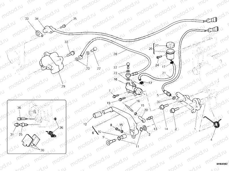 REAR BRAKE SYSTEM » BRAKING SYSTEM