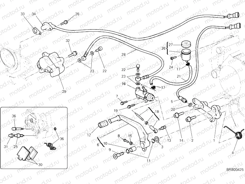 REAR BRAKE SYSTEM » BRAKING SYSTEM
